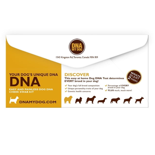 DNA My Dog Canine Breed Identification Test envelope displaying an easy, painless dog DNA cheek swab kit that identifies every breed in your dog with 99.97% accuracy, providing breed composition, personality traits, and genetic health concerns, with dog breed silhouettes and the website dnamydog.com, results available in two weeks or less.