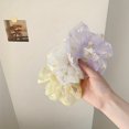 thumbnail image 4 of 6pcs Simple Hair Tie Elastic Scrunchie Daisy Pattern Mesh Hair Rope Ponytail Holder Women's Hair Accessories, 4 of 5