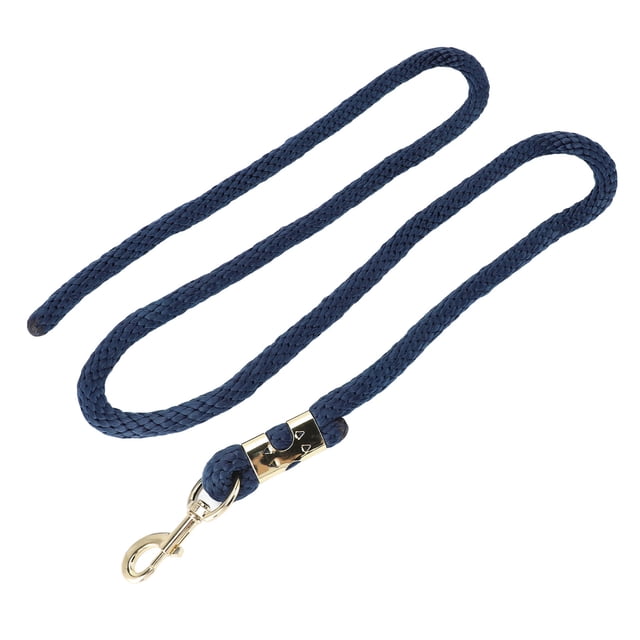 2m Horse Lunge Line Sturdy Anti Breakage Rope with Hook for Walking Handling, PP Stainless Steel Material