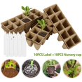 thumbnail image 4 of AMERTEER Seed Starter Tray  Cell Peat Pots Kits  Biodegradable Compostable Planting Pots for Garden Seedling Vegetable Flower, 4 of 11
