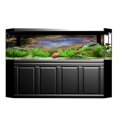 thumbnail image 2 of Tachiuwa Tank Single-sided Adhesive Background Sticker 61x41cm Sky 61x41cm, 2 of 8