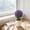 Purple#4, variant on Artificial Potted Plants Money Tree Grass Ball Bonsai Home Decor Floral Ornaments Creatives Mini Round Ball Devise Suitable For Indoor Tabletop Decoration