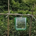 thumbnail image 3 of Habitat pour Petit Papillon, Cage en Maille pour Insectes, Enclos pour Chenille, Cage pour Créatures, Poignée de Transport Transparente Portable pour Insectes Facile à Observer 8 x 8 x 8 Pouces, 3 of 7
