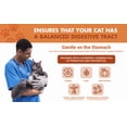 thumbnail image 4 of Liquid-Vet® Feline Digestive Wellness Pre & Postbiotic Supplement, Chicken Flavor, 8 fl oz / 237 mL, 4 of 10