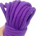 thumbnail image 1 of Estbridg Casewin Braided Twisted Silk Ropes 8mm Diameter Soft Solid Braided Twisted Ropes Decorative Twisted Satin Shiny Cord Rope for All Purpose and DIY Craft (Red 1 Piece), 1 of 6
