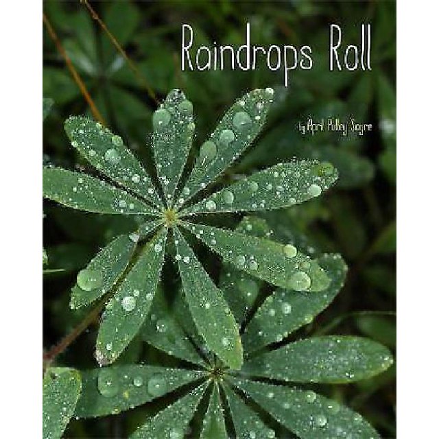 Raindrops Roll By April Pulley Sayre