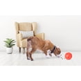 thumbnail image 3 of Omega Paw Tricky Treat Ball Dog Toy - Large, 3 of 7