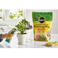 thumbnail image 5 of Miracle-Gro Cactus, Palm & Citrus Potting Mix and Miracle-Gro Succulent Plant Food, 5 of 5