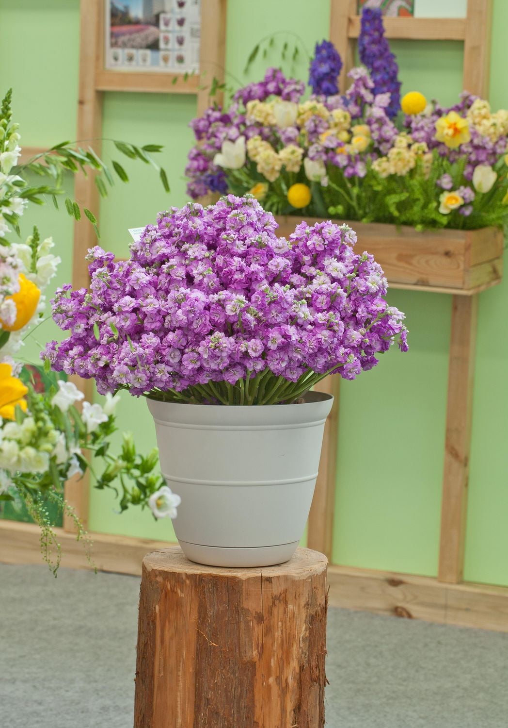 Mainstays Basic Bell Planter 8 inch Grey, Classic Design with Attached Tray Durable Weather Resistant  Matte Finish