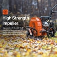 thumbnail image 3 of SuperHandy Walk Behind Leaf Blower, 3 of 7