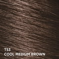 thumbnail image 4 of L'Oréal Paris Feria, Permanent Hair Dye, 4 of 7