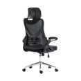 thumbnail image 1 of Office Chair with Lumbar Support & Adjustable Headrest, 1 of 1