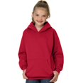 thumbnail image 1 of Hanes Big Boys Ribbed Waistband EcoSmart Pullover Hoodie, 1 of 1