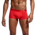 thumbnail image 1 of Bigersell Culottes Sans Coutures pour Femmes Liquidation Culottes Invisibles Bikini Culotte Style P-1569 Polyester Culottes Échancrées Culottes Sans Coutures String pour Dames Culottes Taille Haute Culottes pour Femmes Rouge TG, 1 of 7