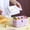 PPS, variant on Up to 50% off ! TopLLC Double-layer Compartmented Lunch Box Student Insulated Lunch Box Microwave Portable Portable Compartmented Lunch Box on Clearance