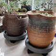 thumbnail image 2 of SUTENGDA Lot de 2 Paniers à Plantes Robustes de 14 Pouces avec Roues Support Roulant pour Plantes Pot Chariot à Roulettes Plateau Soucoupe pour Jardinière Chariot pour Fleurs en Pot avec Roulettes sous-Verre Rond pour Intérieur O, 2 of 9