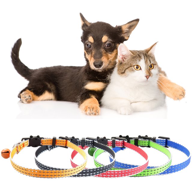 CBFFDC Collier pour Animaux Confortable Réfléchissant Réglable Collier pour Animaux Facile à Porter Boucle Élastique Anti-Étouffement pour Chatons et Chiots Fournitures pour Animaux