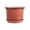 Red, variant on 5.9 Inch Plastic Large Plant Pot with Drainage Hole and Saucer Large Plant Tree Pot Flower Tree Container for Indoor Outdoor Gardening Front Porch Patio Yard or Deck