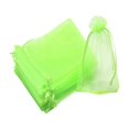 thumbnail image 1 of koolsoo 100 Pcs Sacs de Protection pour Fruits Sac-Cadeau pour Verger Fleurs Plantes Vert, 1 of 9