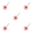thumbnail image 1 of Maytalsory Realistic Appearance Non-toxic Cats Dogs Safe Home Decor For Lovers Odorless Silk Wide Application Low Maintenance Light Pink 5Set, 1 of 6