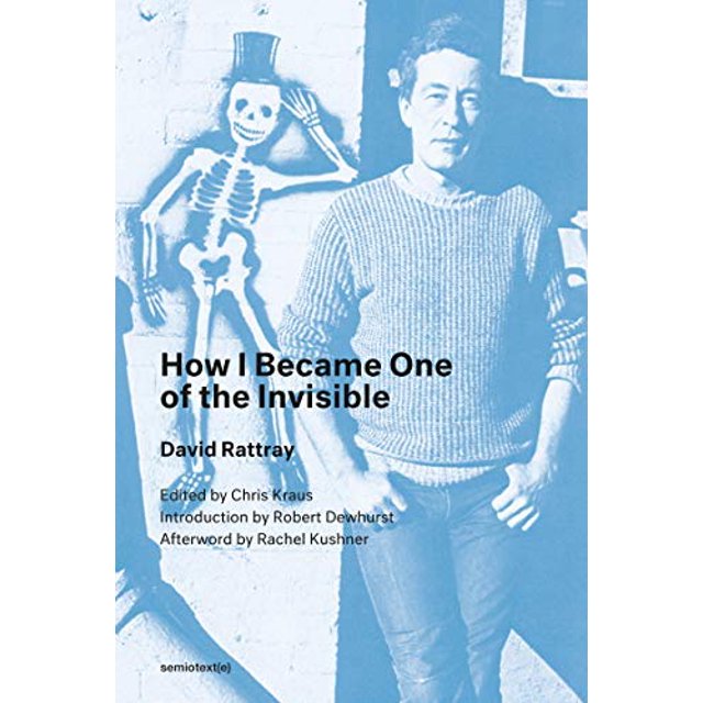 How I Became One of the Invisible (Semiotext(e) / Native Agents)