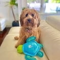 thumbnail image 2 of Clean Earth Plush Turtle Dog Toy - 100% Sustainable, 2 of 4
