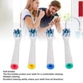 thumbnail image 4 of Replacement Brush Heads, Effective Cleaning Gentle Fine Bristles Simple Access 4PCS Electric Toothbrush Head  for P2500 P3000 P4000, 4 of 7