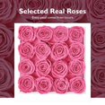 thumbnail image 5 of Eterfield Fleurs Éternelles Fleurs Préservées pour Livraison Roses Réelles Qui Dont la Durée Plus d'Un An Cadeaux pour Elle Fête des Mères Saint-Valentin (Boîte Carrée Blanche, 16 Roses), 5 of 5
