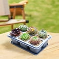 thumbnail image 1 of Wzzjkit Nursery Fleshiness Pots Reusable Planting Trays Suitable for Flowers Vegetables, 1 of 5