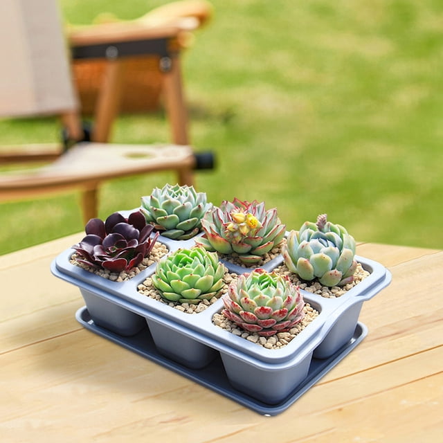 Wzzjkit Nursery Fleshiness Pots Reusable Planting Trays Suitable for Flowers Vegetables