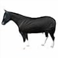thumbnail image 3 of Sleazy Sleepwear for Horses Small Solid Full Body Black, 3 of 3