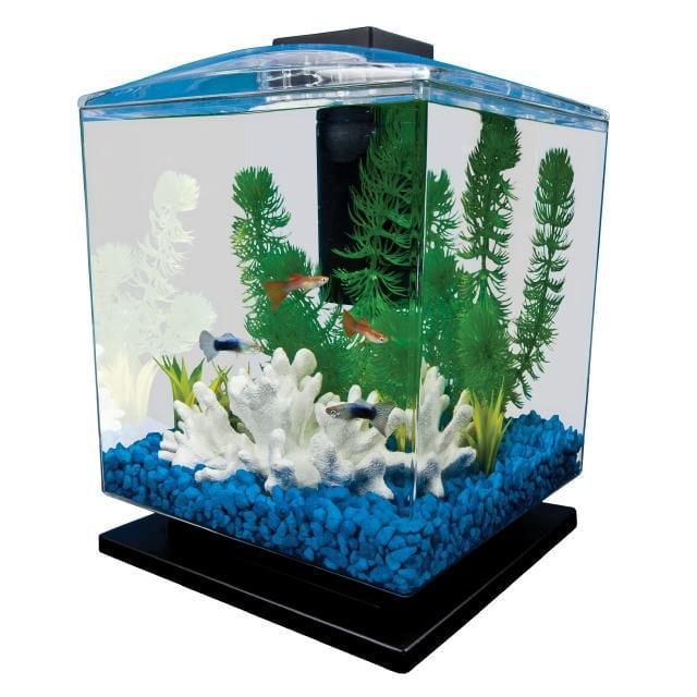 Ensemble d'aquarium à DEL Tetra Whisper, 1,5 gallon