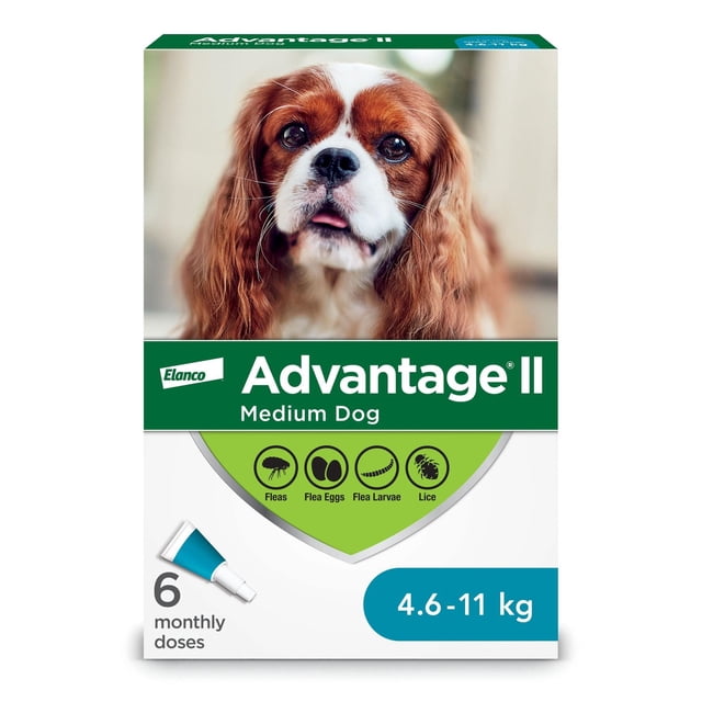 Advantage II Flea Treatment for Medium Dogs box featuring a close-up of a brown and white Cavalier King Charles Spaniel, with six monthly topical doses for dogs weighing 4.6 to 11 kg, showing icons for fleas, flea eggs, flea larvae, and lice protection, ideal for year-round parasite control.