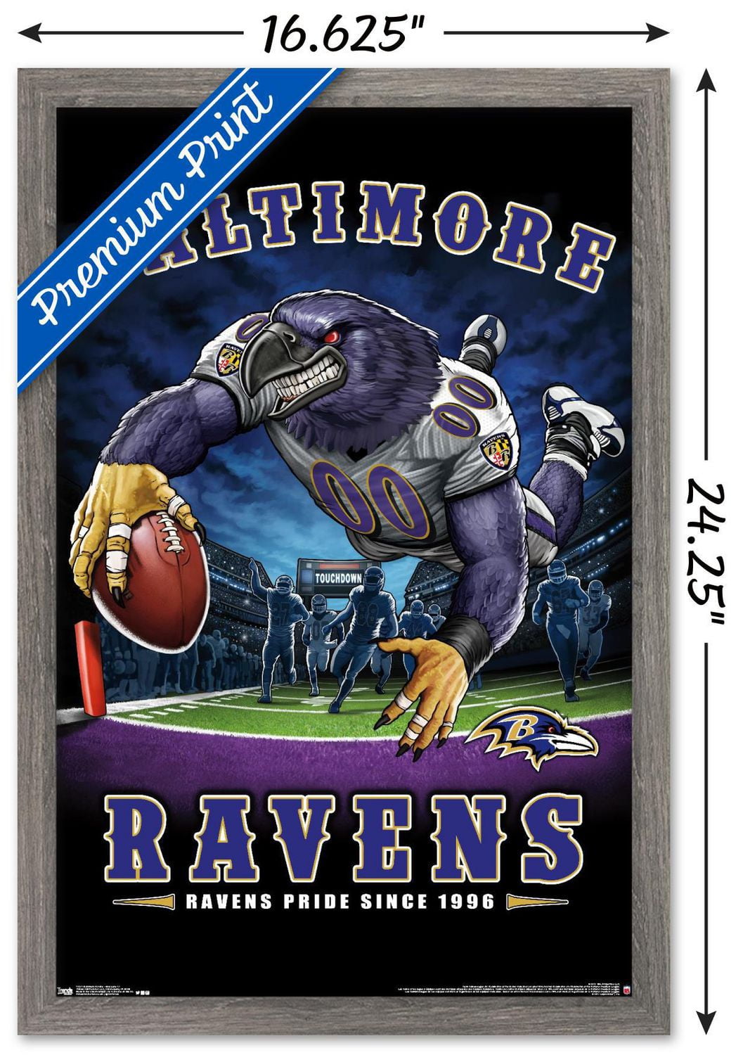 NFL Baltimore Ravens - End Zone 17 Wall Poster