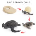 thumbnail image 2 of Plastic Animals Figures 4 Piece Insect Figure Animal Life Cycle Plastic Brood to Mature Period, 2 of 3
