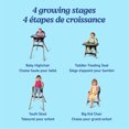 thumbnail image 2 of Graco Ready2Dine DLX Highchair, Hazen, 2 of 7