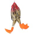 thumbnail image 3 of Frogs Baits, Floating Water Frog Lures Plastic Elastic  for Bass Snakehead Salmon Fishing 1#,2#,3#,4#,5#, 3 of 7