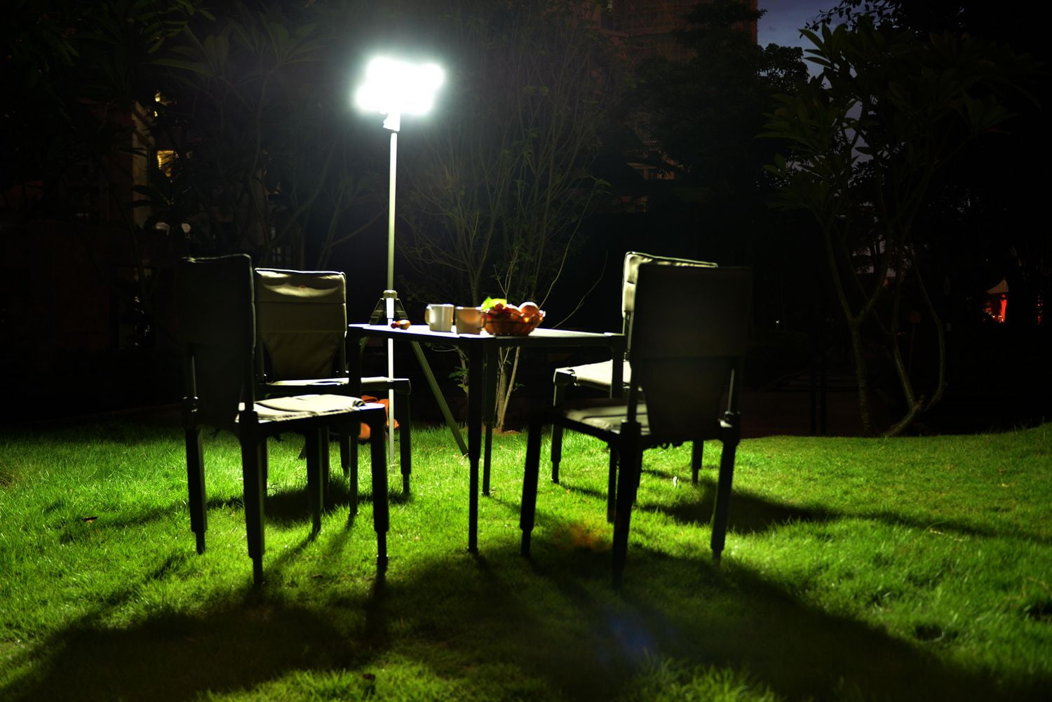 Whitenight Multiuse LED Main Light