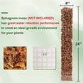 thumbnail image 3 of Becaristey Train Creeper Plants 6pcs Set Indoor Potted Plant Support Poles, 3 of 6