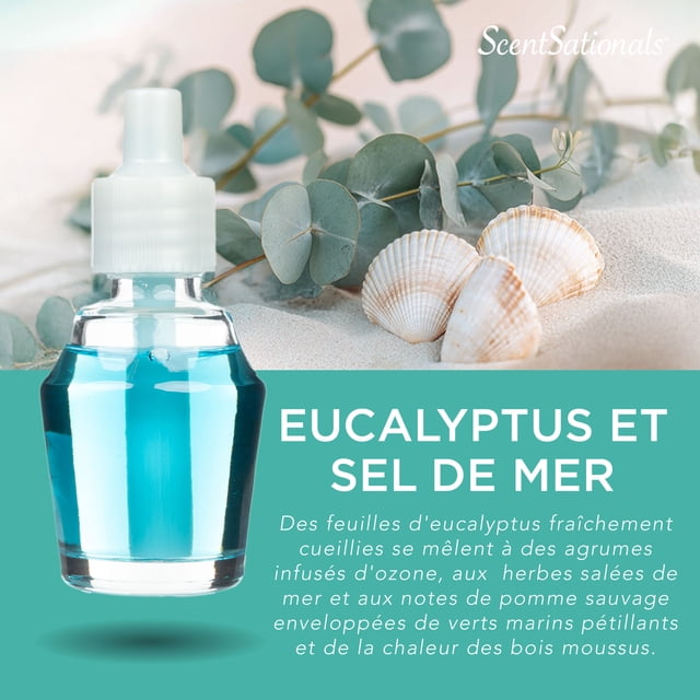 D'huile parfumée Scentsationals - Eucalyptus et sel marin