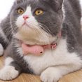 thumbnail image 4 of Pet Collar Checked Fish Adjustable Cat Collar Kitten Collar Pet Necklace Collar, 4 of 8