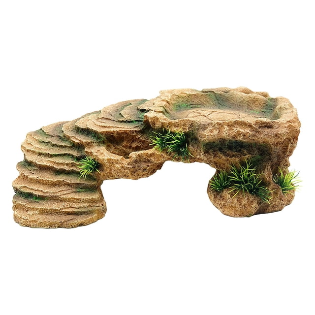 Tachiuwa Rampe d'Escalade Échelle d'Escalade Terrasse pour Tortue Plateforme de Repos pour Se Détendre m