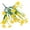 Yellow, variant on Binwennn Winter Jasmine Air That Look Real Flower Indoor Outside Garden
