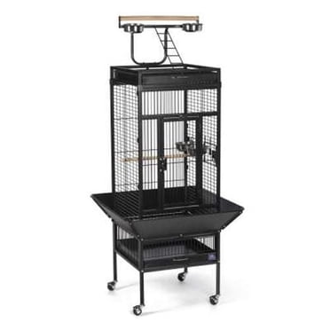 Prevue Select Cage à oiseaux en fer forgé, noire