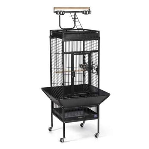 Prevue Select Wrought Iron Bird Cage in black powder-coated steel with integrated play-top and ladder, large front door with double locks, four stainless steel cups, two wood perches, removable bottom grille and trays, rounded corner seed guards, and caster stand for easy movement, measuring 18 by 18 by 57 inches, suitable for indoor birds and controlling seed mess.