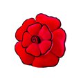 thumbnail image 2 of BKER 19.7 Inch 3D Round Rose Soft Round Rose Rose Shaped Cushion Handmade Decorative Floor, 2 of 4