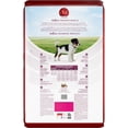 thumbnail image 3 of Purina ONE SmartBlend Formule pour Chiot en Santé à l'Agneau, Nourriture Sèche pour Chien 1.81kg, 3 of 10