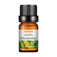 thumbnail image 1 of EGNMCR Humidifiers for Bedroom Aromatherapy Plant Water Soluble Humidifier Car Aromatherapy Essential Oil 10ml Humidifier aromatherapy, 1 of 1