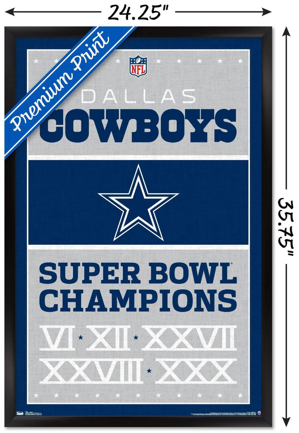 Cowboys de Dallas la NFL