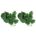 thumbnail image 3 of Ccdes Lifelike Plastic Plant, Artificial Reptile Plant 2PCS For Reptile Pet Nests For Fish Tanks, 3 of 8